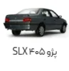 لوازم اسپرت 405