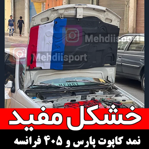 نمد کاپوت پژو پارس و 405 طرح فرانسه