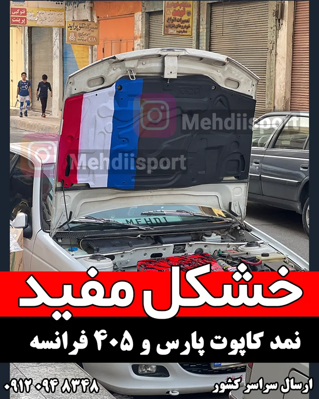 نمد کاپوت پژو پارس و 405 طرح فرانسه