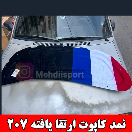 نمد کاپوت 207 ارتقا یافته طرح فرانسه