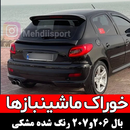 بال عقب 206 / 207 رنگ شده مشکی