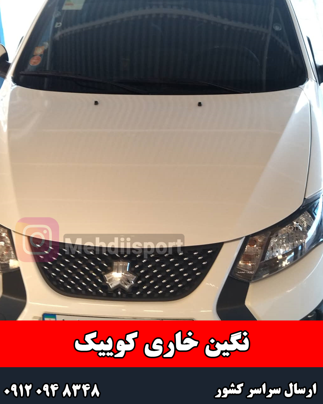 نگین سپر خاری کوییک