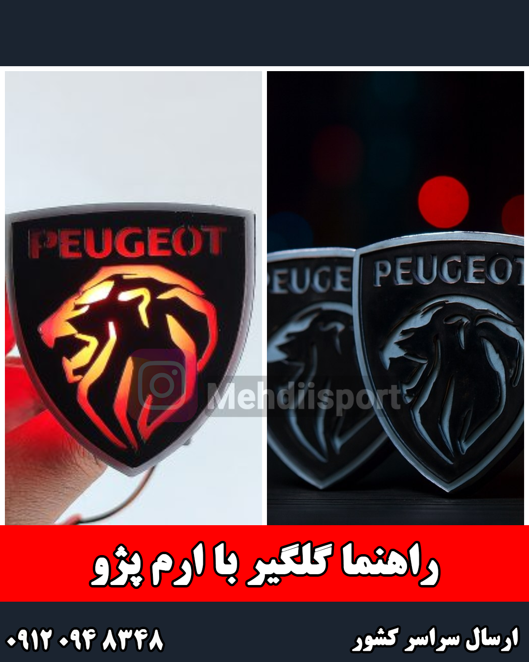 راهنما گلگیر ارم پژو "بسته 2 عددی "